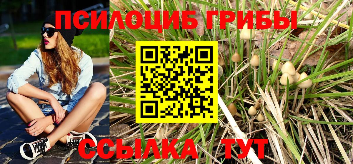 Псилоцибиновые грибы Magic Shrooms  Вход с VPN  Курчалой 